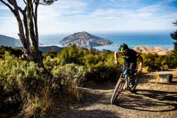 A Landmark Adventure New Zealand Tourism Business