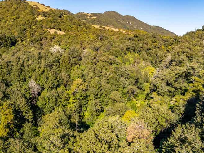 179 Blue Duck Valley Road, Clarence