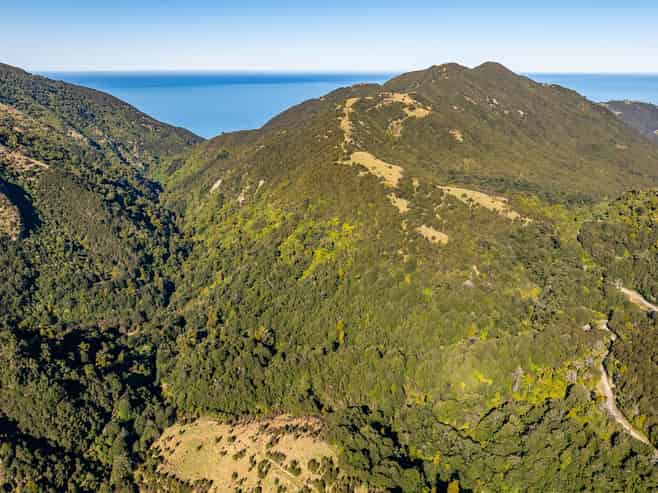 179 Blue Duck Valley Road, Clarence