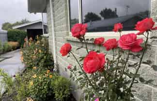 16 Belt Road, Allenton