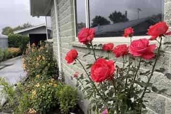 16 Belt Road, Allenton