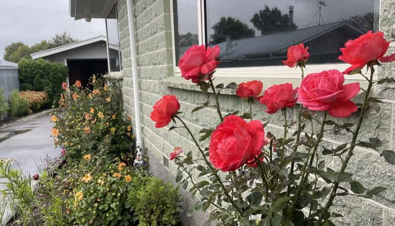 16 Belt Road, Allenton