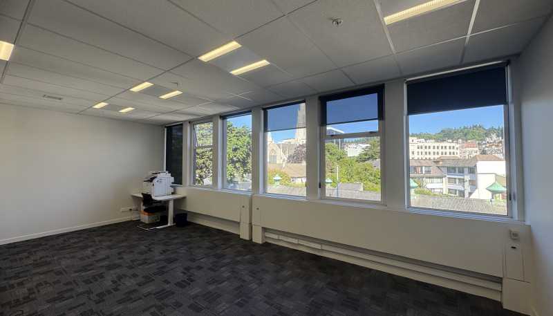 248 Cumberland Street, Dunedin Central