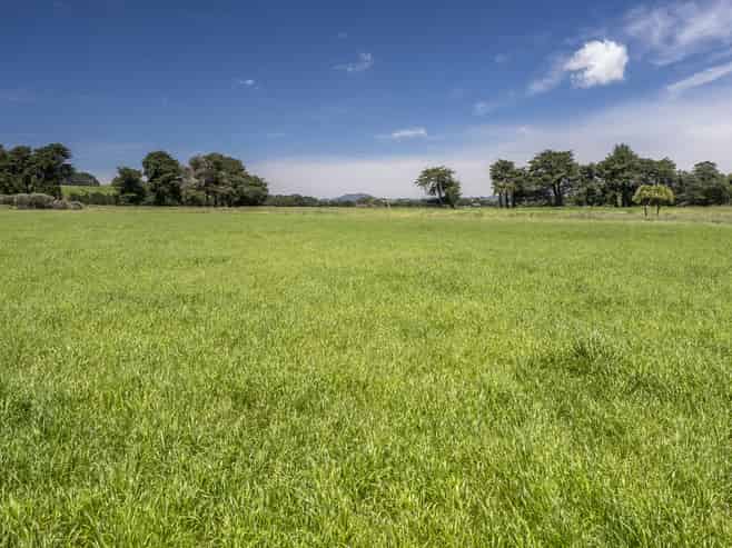 83385 State Highway 2, Eketahuna