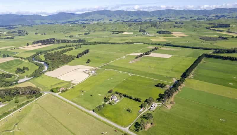 162 Hamua Hukanui Road, Eketahuna