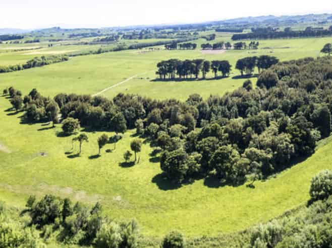 162 Hamua Hukanui Road, Eketahuna