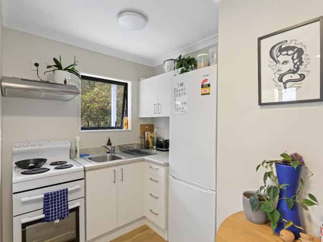 B/24 Devon Street, Aro Valley