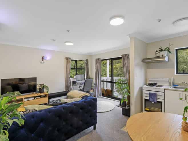 B/24 Devon Street, Aro Valley