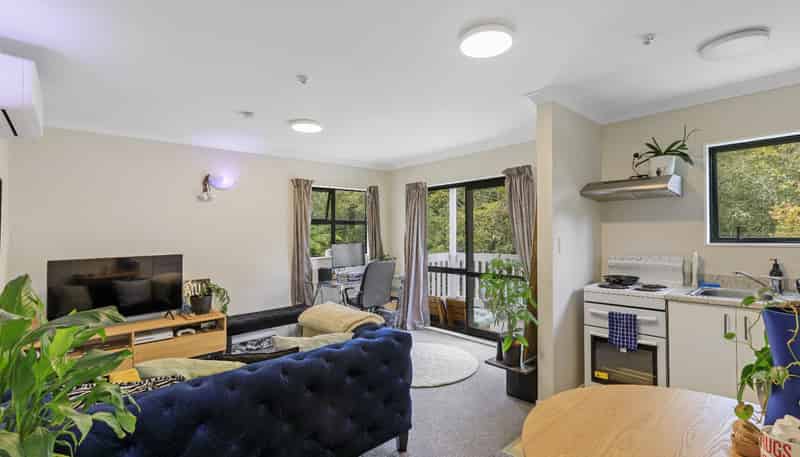 B/24 Devon Street, Aro Valley