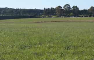 750 Rakahouka Hedgehope Road, Mabel Bush