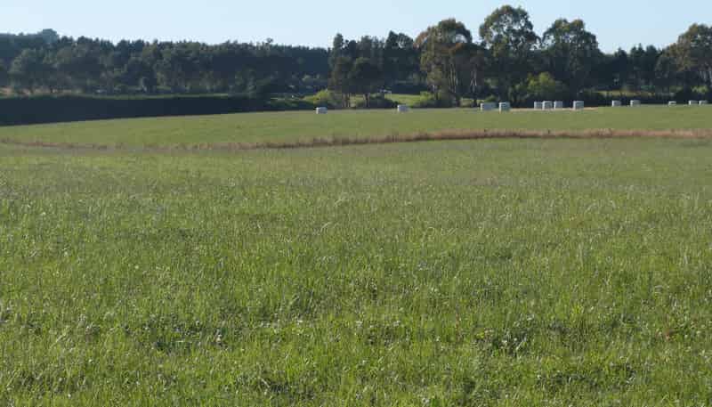 750 Rakahouka Hedgehope Road, Mabel Bush