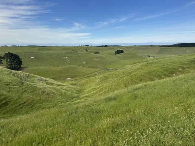 302 Bruce Road, Turakina