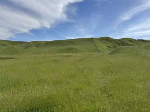 302 Bruce Road, Turakina