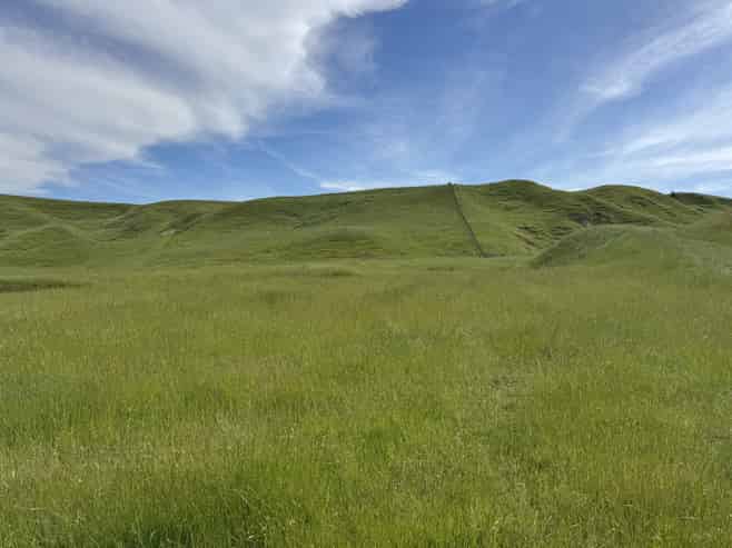 302 Bruce Road, Turakina