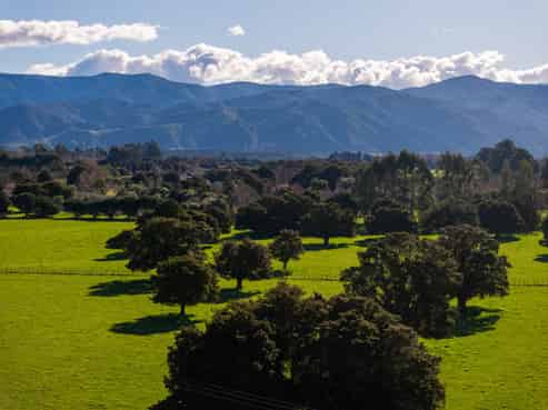 151 Humphries Street, Greytown