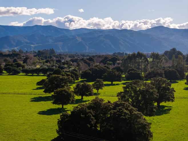 151 Humphries Street, Greytown