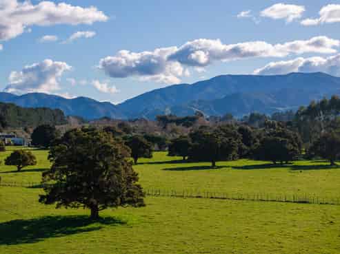 151 Humphries Street, Greytown