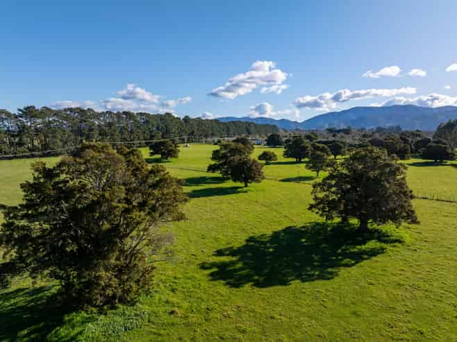 151 Humphries Street, Greytown