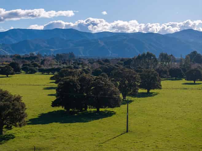 151 Humphries Street, Greytown