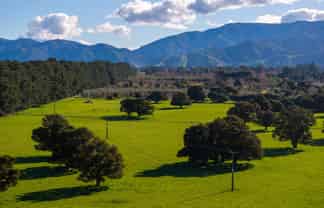 151 Humphries Street, Greytown