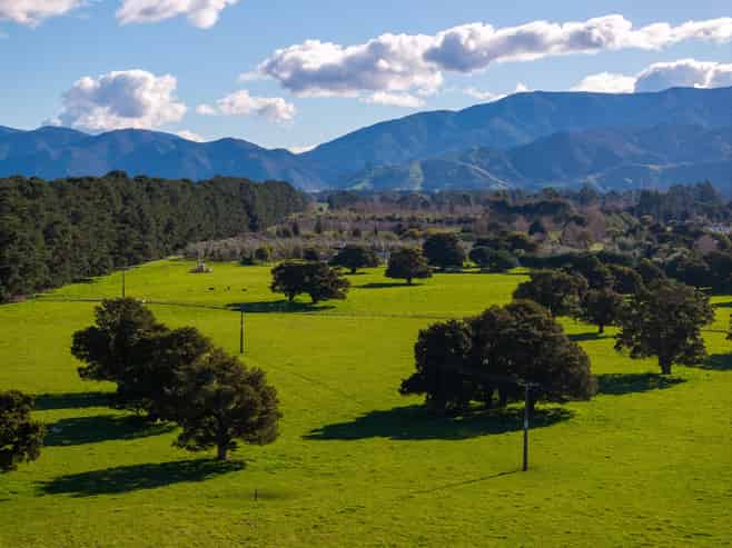 151 Humphries Street, Greytown