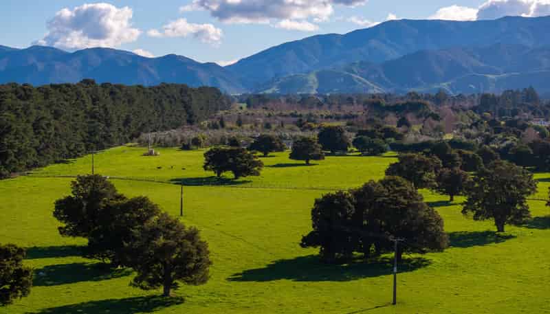 151 Humphries Street, Greytown