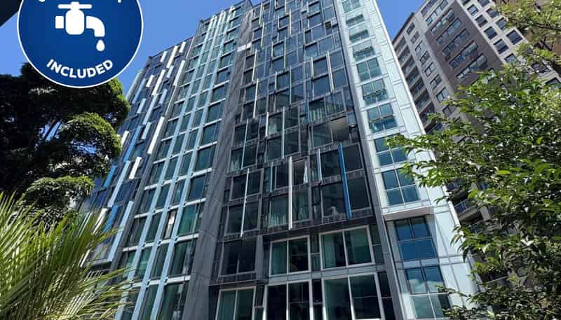 17a/3 Whitaker Place, Grafton