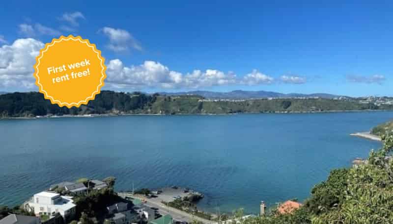 37a Grafton Road, Roseneath