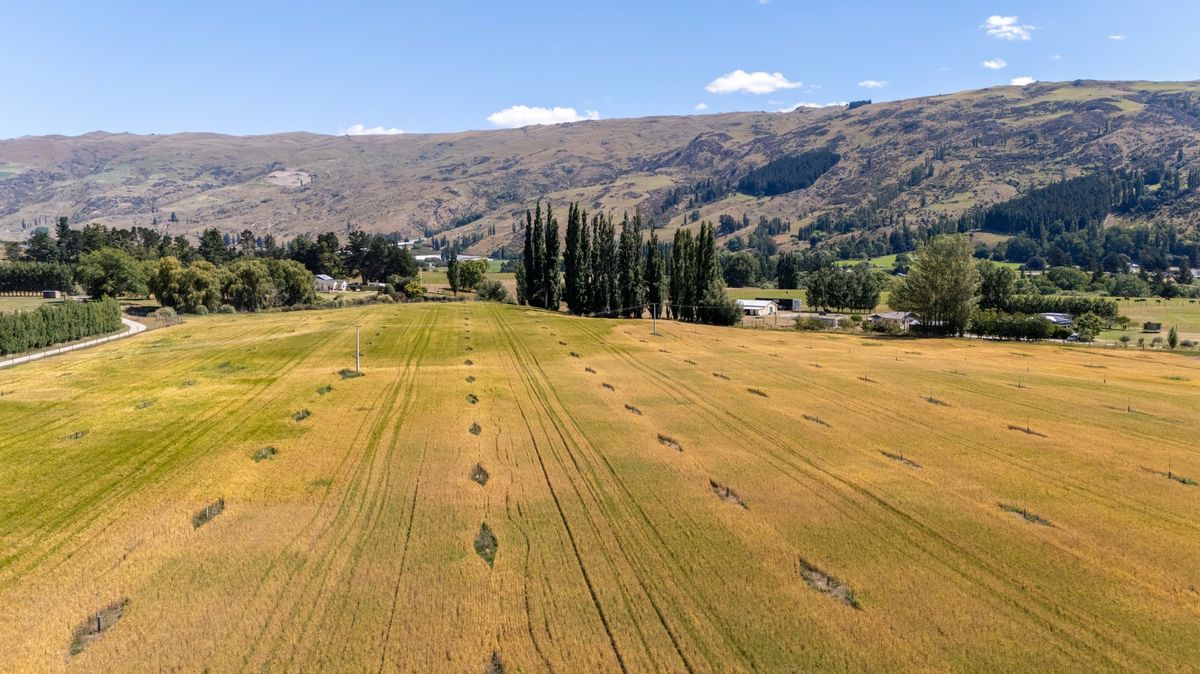 A Rare Blend of Land, Lifestyle and Opportunity - Widok 3
