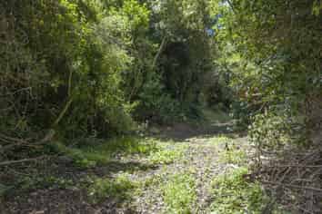 6 Plumwood Lane, Cashmere