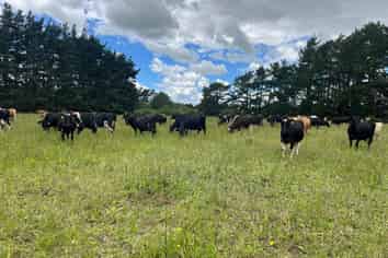 220 Larsen Road, Eketahuna