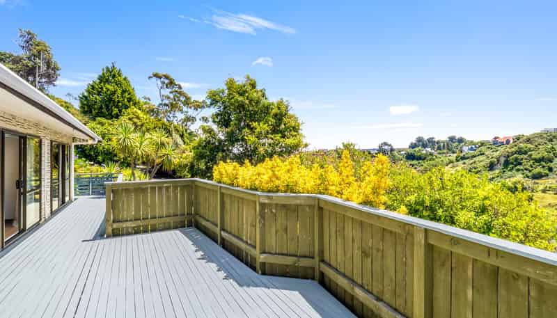 48 Portal Street, Durie Hill