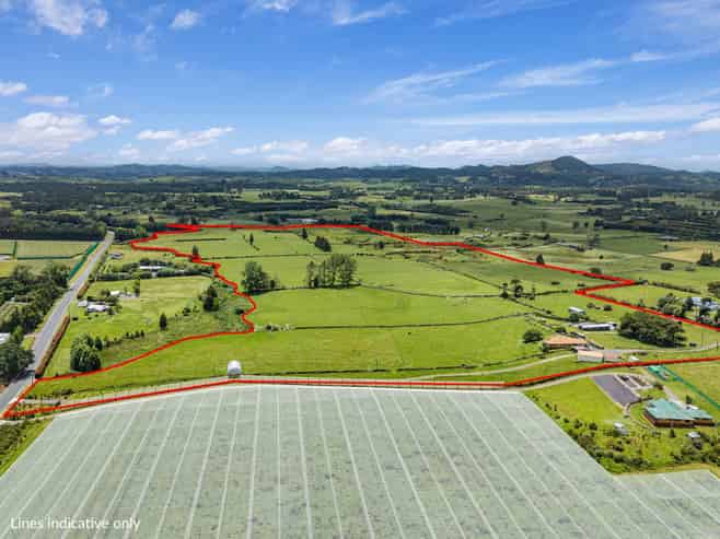 54 Tatton Road, Maungatapere