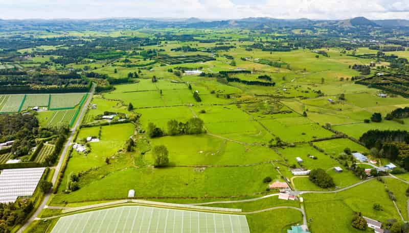 54 Tatton Road, Maungatapere