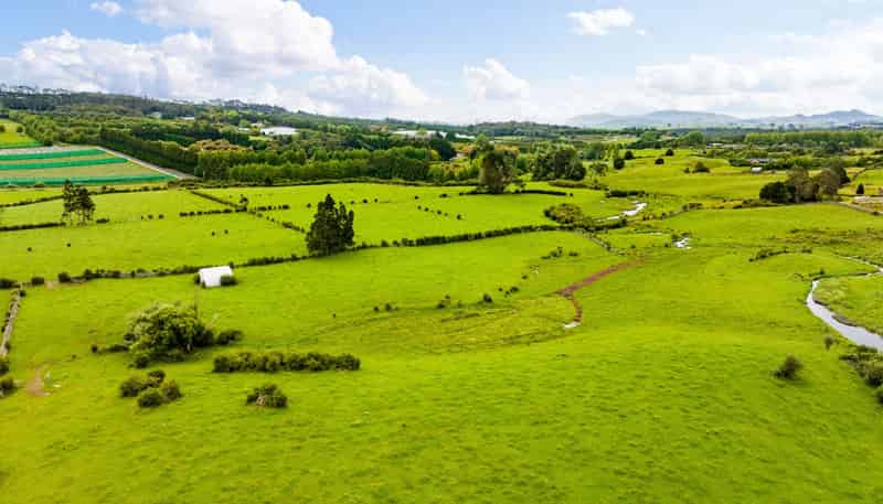 54 Tatton Road, Maungatapere