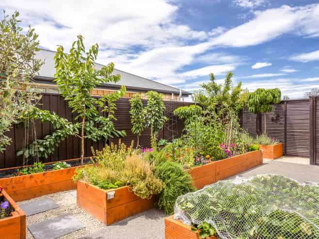 17 Westpark Drive, Burnside