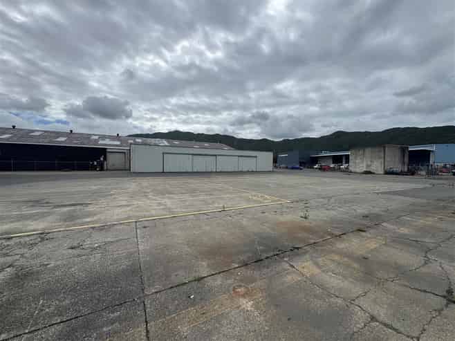 High Stud with Options