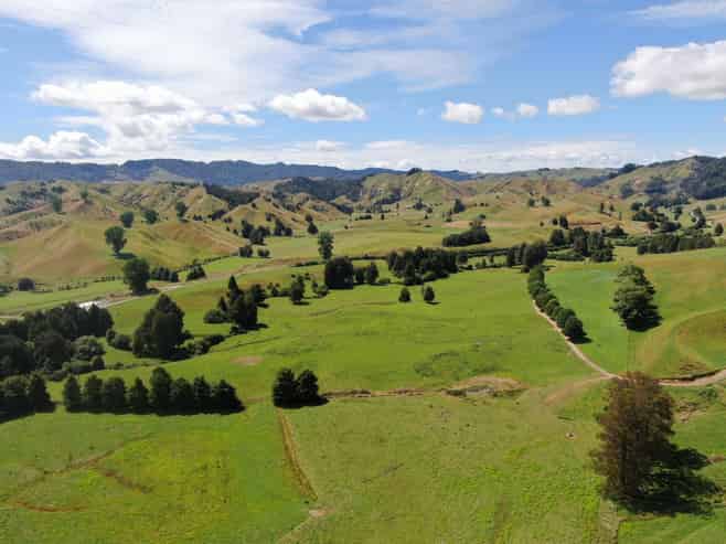 168 Matiere Road, Aria