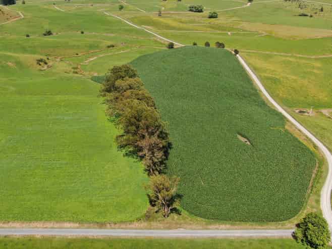 168 Matiere Road, Aria