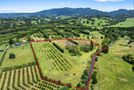 30B Thompsons Track, Aongatete, Western Bay Of Plenty, Bay of Plenty