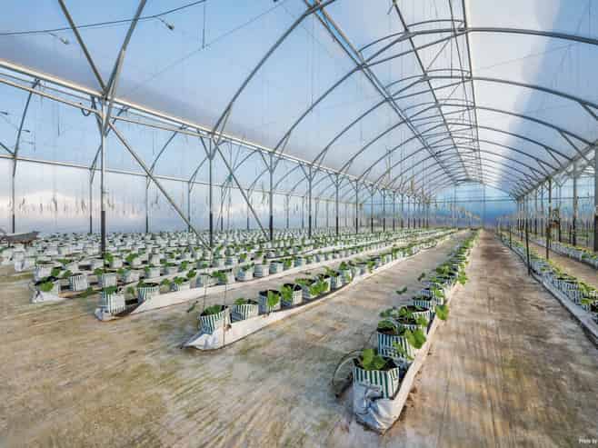 39 Martyn Wright Road, Mauku