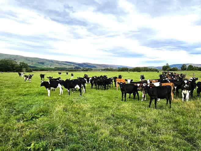 542 Piano Flat Road, Waikaia