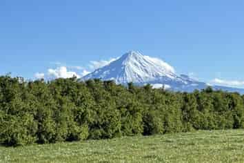 13 Ahipaipa Road, Okaiawa