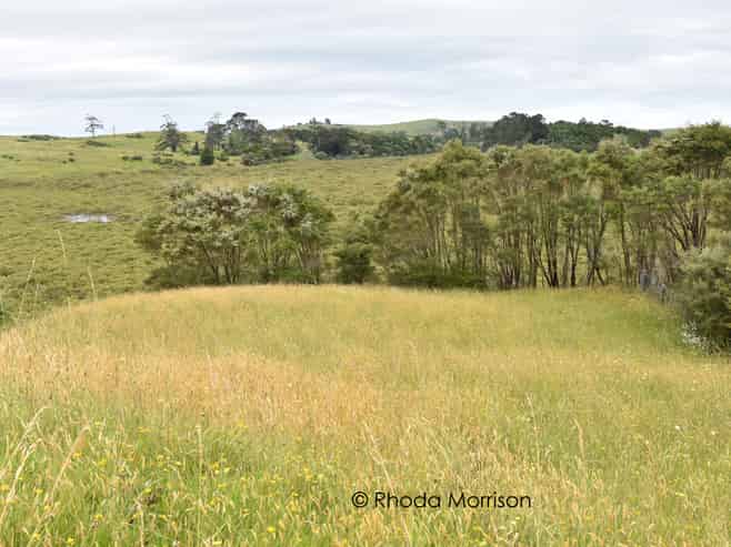10 Te Pahi River Drive, Paparoa
