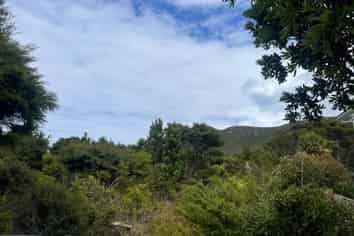 224B Blind Bay Road, Great Barrier Island