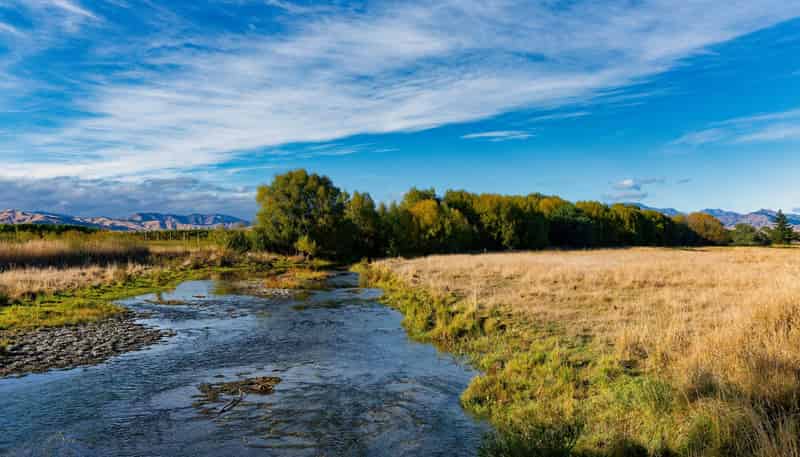 167 Hammerichs Road, Rapaura