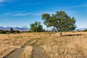 167 Hammerichs Road, Rapaura