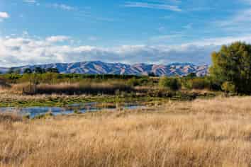 167 Hammerichs Road, Rapaura