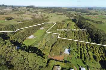 Egg operation & home