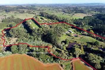 Egg operation & home